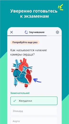 Quizlet: карточки на основе ИИ | Игры | XWorld Quizlet: карточки на основе ИИ | Игры | XWorld