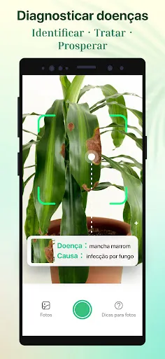 Plant Parent-Guia de Cuidados | Jogos | XWorld