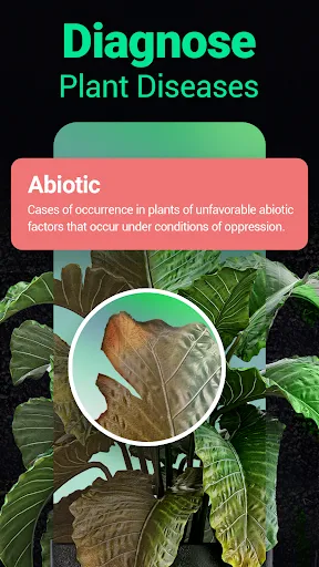 Plantum - Plant Identifier | Games | XWorld