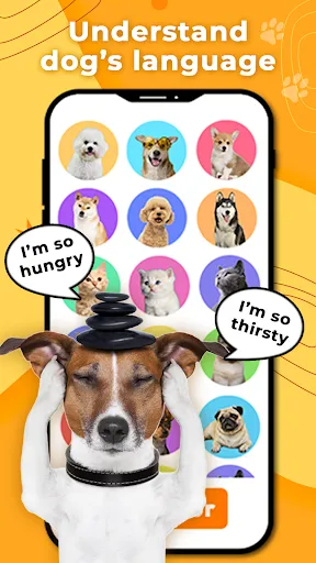 Dog Translator & Trainer | Games | XWorld