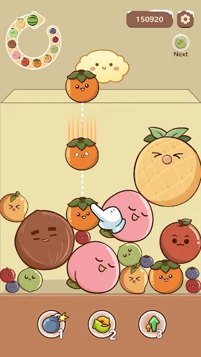 Fruit Drop Master | 游戏 | XWorld