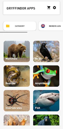 Animal Quiz: Guess the Animal | Games | XWorld
