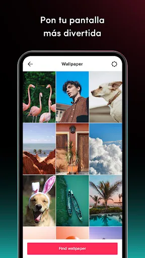 TickTock-TikTok Live Wallpaper | juego | XWorld