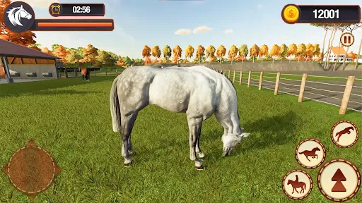 My Horse Herd Care Simulator | juego | XWorld