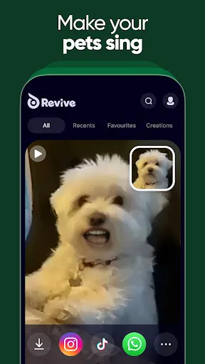 Revive: ทำภาพเคลื่อนไหวใบหน้า | 游戏 | XWorld