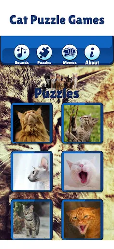 Kitty Cat Games For Kids Meow | 游戏 | XWorld Kitty Cat Games For Kids Meow | 游戏 | XWorld
