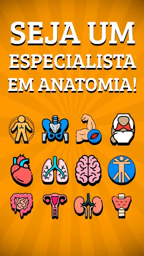 Anatomania - Quiz de Anatomia | Jogos | XWorld