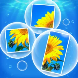 XWorld | Bubblepics - Pop Jigsaw Puzzle