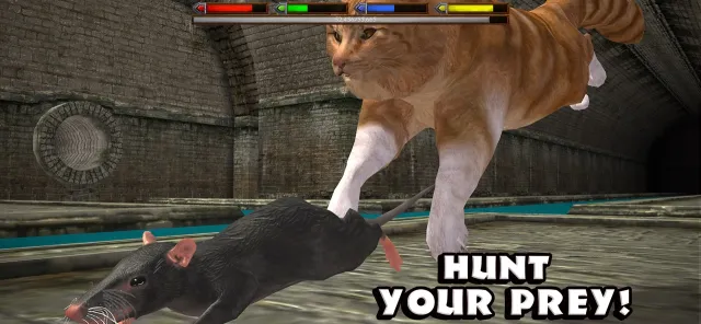 Ultimate Cat Simulator | Games | XWorld