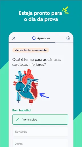 Quizlet: aprendizado com IA | Jogos | XWorld