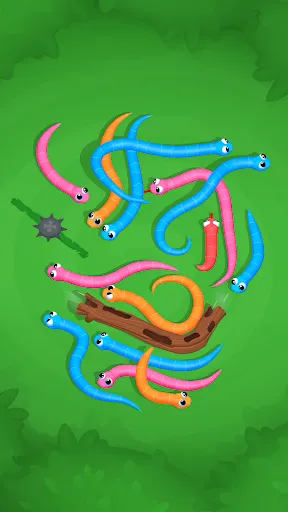 Snake Knot: Câu đố về con rắn | Games | XWorld