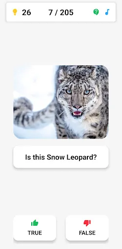 Animal Quiz: Guess the Animal | Games | XWorld