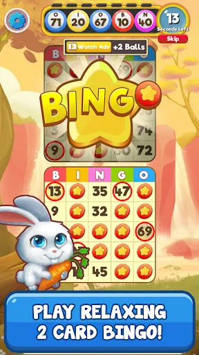 Bingo:  Free the Pets | Games | XWorld