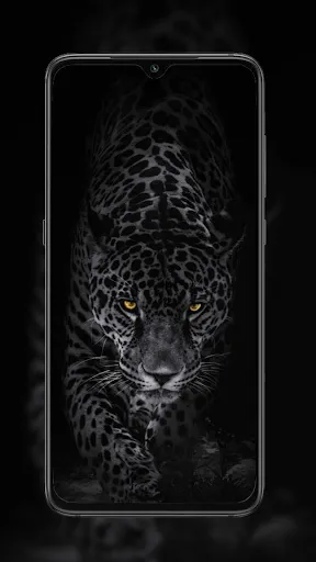 Cheetah Leopard Wallpaper | Игры | XWorld