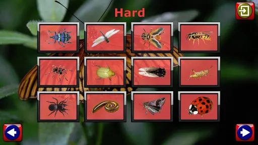 Kids Insect Jigsaw Puzzle | Games | XWorld