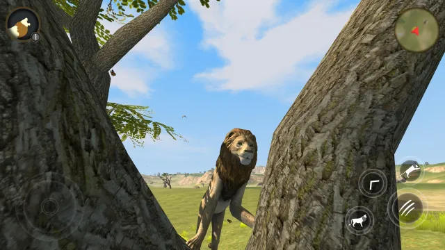 Wild Lion Survival Simulator | 游戏 | XWorld