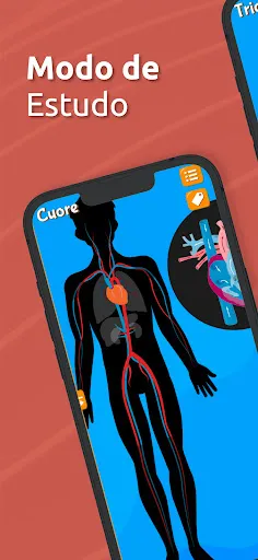 Anatomia - Atlas Corpo Humano | Jogos | XWorld