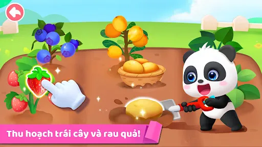 Nhật Ký Cuộc Sống Bé Gấu Trúc | Games | XWorld