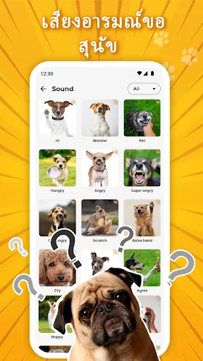 Dog Translator: Trainer | เกม | XWorld