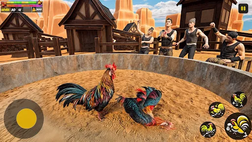 Street Rooster Fight Kung Fu | Permainan | XWorld