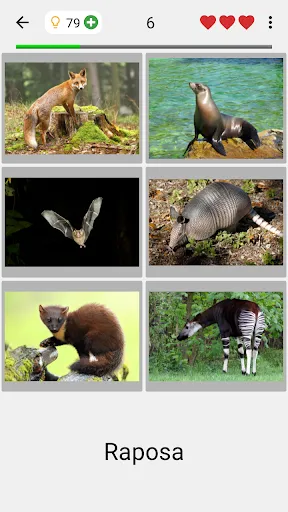 Animais - Os mamíferos e aves | Jogos | XWorld Animais - Os mamíferos e aves | Jogos | XWorld