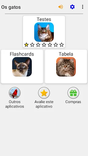 Gatos - Quiz sobre as raças | Jogos | XWorld Gatos - Quiz sobre as raças | Jogos | XWorld