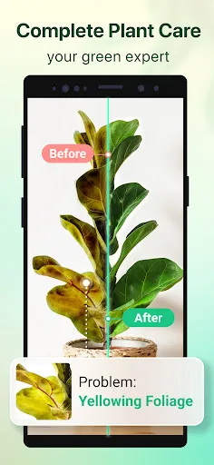 Plant Parent-Guia de Cuidados | 游戏 | XWorld