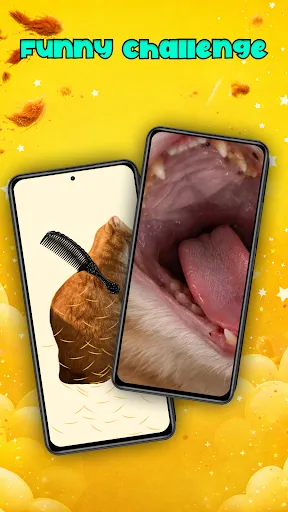 Brush Orange Cat Challenge | Games | XWorld