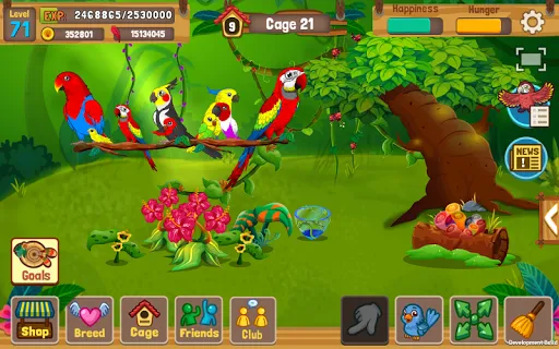 Bird Land: Pet Shop Bird Games | Permainan | XWorld