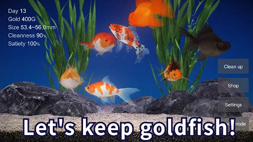 Goldfish 3D Relaxing Aquarium | Games | XWorld Goldfish 3D Relaxing Aquarium | Games | XWorld