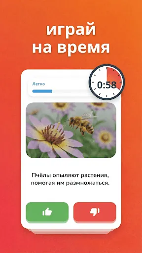 Правда или Ложь — Викторина | Игры | XWorld Правда или Ложь — Викторина | Игры | XWorld