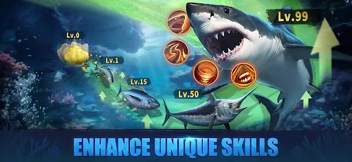 Top Fish: Ocean Game | Games | XWorld