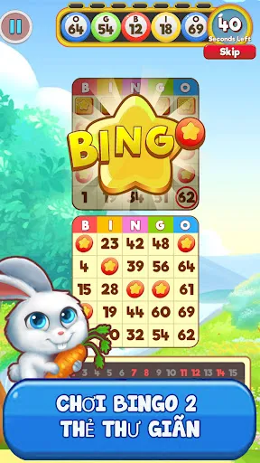 Bingo: Free the Pets | Games | XWorld