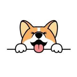 XWorld | Corgiswap