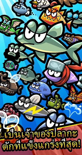 Anchovy Squad | เกม | XWorld