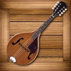 XWorld | Toddlers Mandolin