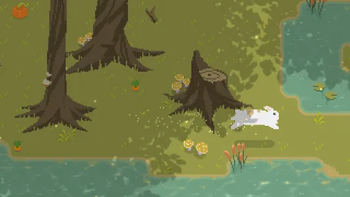 Bunny Forest | Games | XWorld