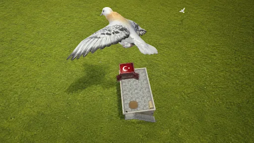 Pigeon Paradise | Games | XWorld Pigeon Paradise | Games | XWorld