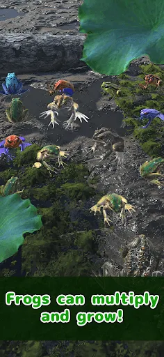 Frog Friends | 游戏 | XWorld