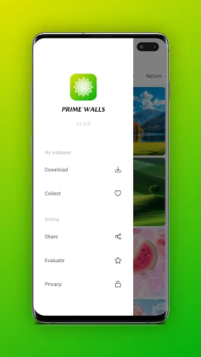 Prime Walls | Permainan | XWorld