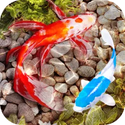 XWorld | 3D Fish Tank Live Wallpaper