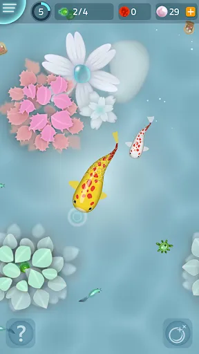 Zen Koi Classic | Games | XWorld