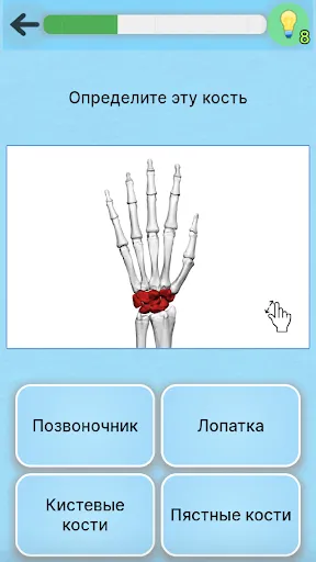 Игра Анатомия | Игры | XWorld