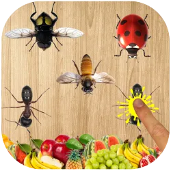 XWorld | Ant Smasher 2d