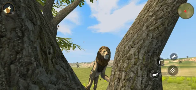 Wild Lion Survival Simulator | Games | XWorld