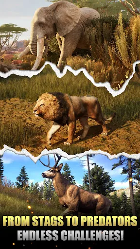 Animal Hunter : Wild Sniper | Permainan | XWorld