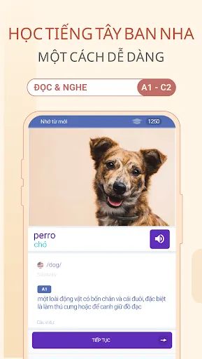Học Tiếng Tây Ban Nha Dễ Dàng | Games | XWorld