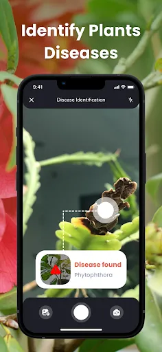 PlantIn Plant Identifier, Care | Games | XWorld PlantIn Plant Identifier, Care | Games | XWorld
