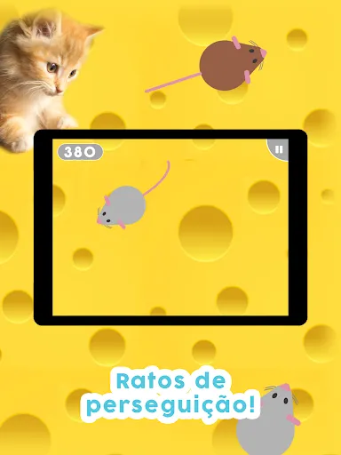 Jogos para gatos! | Jogos | XWorld Jogos para gatos! | Jogos | XWorld