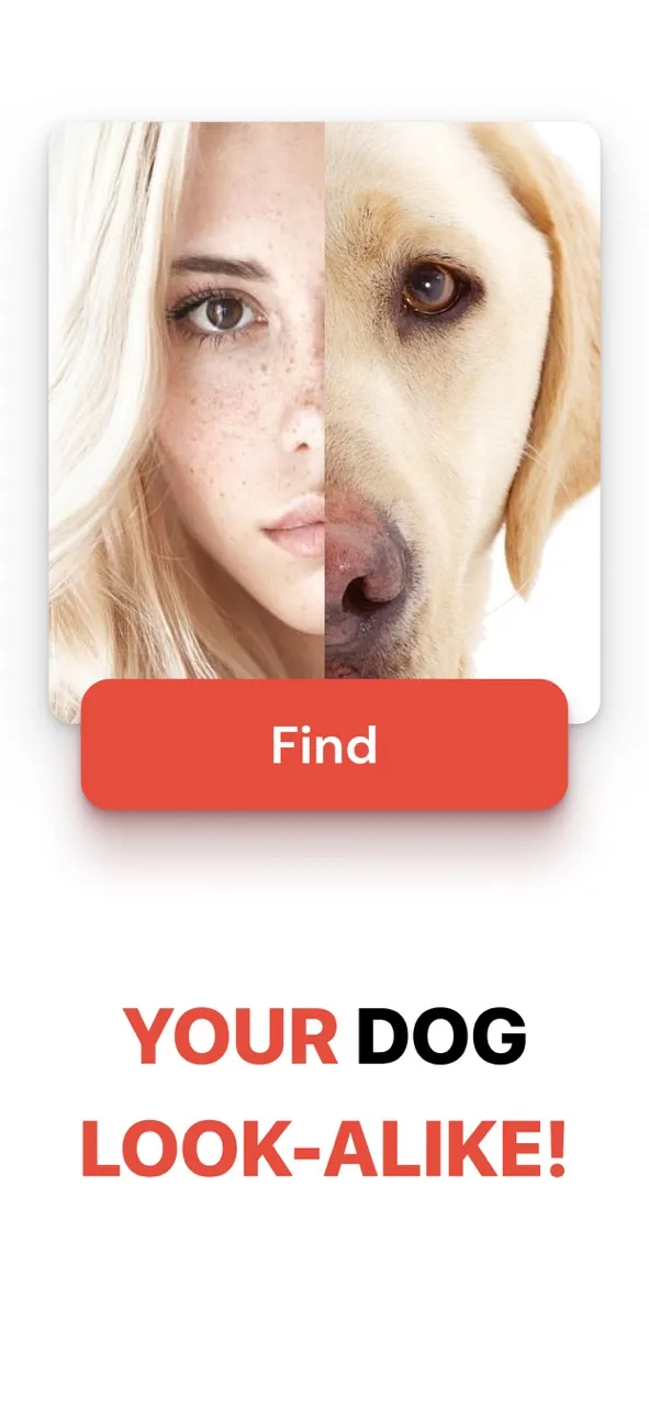 What Dog Do I Look Like ? Twin | Games | XWorld